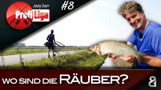 Raubfischsuche im Sommer! Profi-Liga S6F8