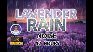 Soothing Lavender Rain Noise | 12 Hours BLACK SCREEN | Study, Sleep, Tinnitus Relief and Focus