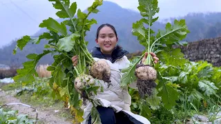 3 radishes and a rice cake, cook a big pot and eat it, it tastes delicious