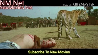Himmatwala| Ajay Devgan And Tiger Fighting With Stronger Fighters Scene| Ajay Devgan Shraddha Kapoor