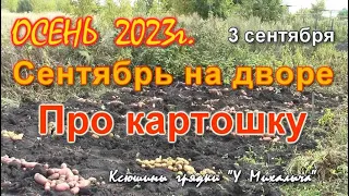 Осень  Сентябрь.  Про картошку 2023 г.