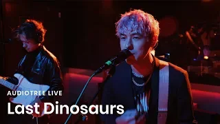 Last Dinosaurs - Zoom | Audiotree Live