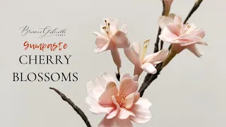 HOW TO MAKE GUMPASTE CHERRY BLOSSOMS//BRIANNE GABRIELLE CAKES
