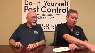 Get Rid of Drain Flies - Drain Fly Control Products