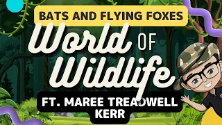 [WOW] Bats and Flying Foxes With Maree Treadwell Kerr [May]