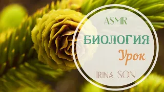 АСМР/ASMR Ролевая Игра: Урок Биологии Тихий голос Для Сна