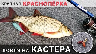 Рыбалка на КРУПНУЮ КРАСНОПЕРКУ / Бомбарда и спиннинг ультралайт / Рыбалка на Днепре