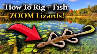 HOW TO RIG ZOOM LIZARDS FOR BASS! HOW TO FISH ZOOM LIZARDS! NEW ENGLAND BASS FISHING!