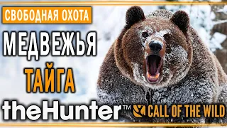 theHunter Call of the Wild #12 🐻 - Медвежья Тайга (часть 1) - Свободная Охота