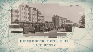 Малые родины большого Петербурга. Городки Лесного проспекта. Часть вторая