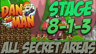 Dan The Man Stage 8-1-3: All Secret Areas Revealed