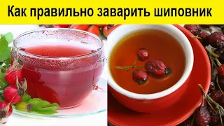 Как правильно заварить шиповник и сохранить витамины?