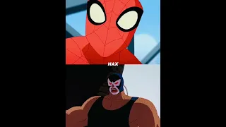 Spectacular Spider-man Vs Batman's Villains