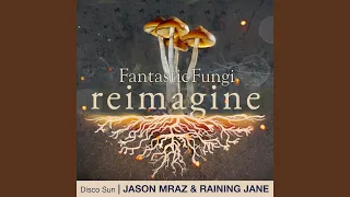 Disco Sun (Fantastic Fungi: Reimagine)