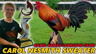 Ramil Gamay Carol Nesmith Sweater LABRADOR FARM - Big Farm In The Philippines Beautiful Birds