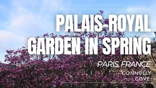 Palais-Royal Garden In Spring | Paris | France | Things To Do In Paris
