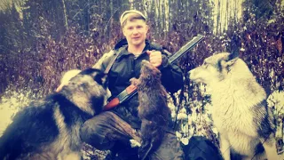 Открыли сезон охоты на бобра, готовим  привады на волка.beaver hunting