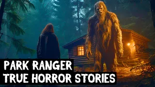 2 Hours Of TRUE Disturbing Park Ranger Horror Stories Told In The Rain (Dogman,Sasquatch,Wendigo...)