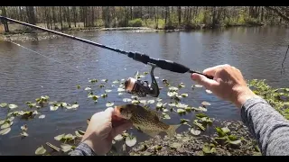 Impressive Test of the KastKing Kestrel Ultralight Rod and Reel at the Crappie Train Pond