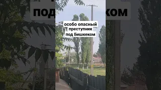 🔥 Перестрелка под Бишкеком / Дмитриевка