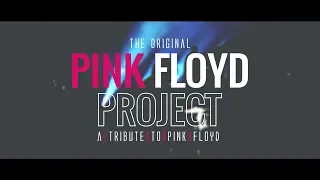 The Pink Floyd Project | comfortably numb | Waldmohr live