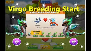 Virgo Breeding start-Dragon Mania Legends | How to Breed Virgo Dragon | DML | HD