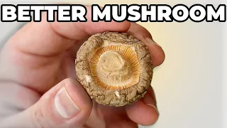 STOP Buying FRESH Mushrooms! You'll Thank you!!