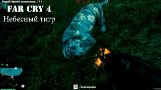 Прохождение Far Cry 4. Неделя моды в Кирате: Небесный тигр. Смешной бубляж.