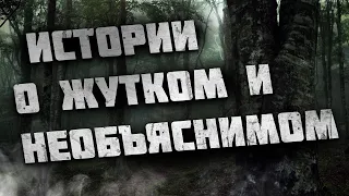 Две истории о Жутких и Необъяснимых местах в тайге.