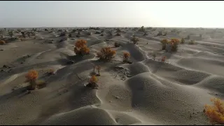 Taklimakan desert (2)