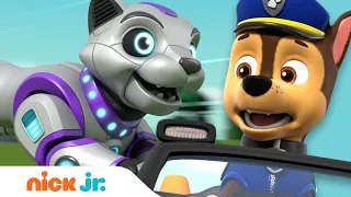 PAW Patrol | ¡El cachorro robot queda a cargo de Adventure Bay! 🤖🐶 | Nick Jr. en Español