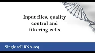 scRNA-seq: Quality control and filtering cells (update, June 2023)