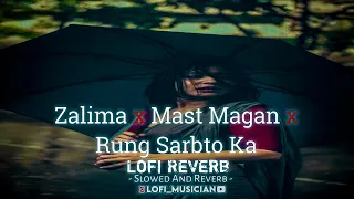 Zaalima X Mast Magan X Rang Sarbto Ka || Slowed And Reverb Song || ♥️😍 #love #bollywoodlofi