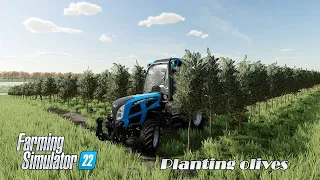 How to Plant Olive Trees in Farming Simulator 22 | FS22