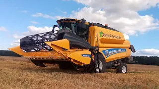 Zniwa jęczmienia 2022.New Holland TC5.70 i Claas Avero240 w Akcji!