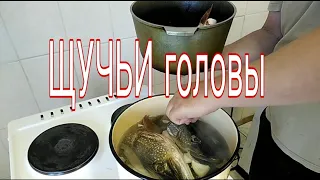 УХА ИЗ ЩУЧЬИХ ГОЛОВ!