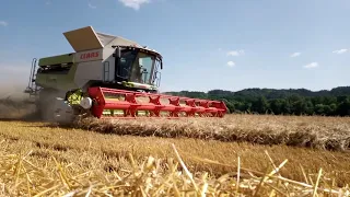 Žně 2021 Ječmen Ozimý Sedmihorky Claas Lexion 7600