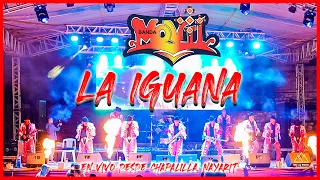La Iguana 🦎 - Banda Movil - 43 Aniversario - Chapalilla, Nayarit 🇲🇽 || EN VIVO