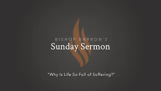 Why Is Life So Full of Suffering? — Bishop Barron’s Sunday Sermon