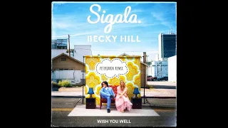 Sigala, Becky Hill - Wish You Well (peterjabin remix)