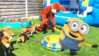 THROWING MY DOGS A MINION THEMED BIRTHDAY BALL PIT POOL PARTY