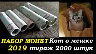 НАБОР МОНЕТ Украины 2019 ГОД  или КОТ в МЕШКЕ от НБУ 7 ролов украинских монет ? года нумизматика