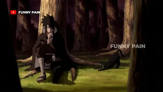 Sasuke kena karma gak ngasih makan kucing