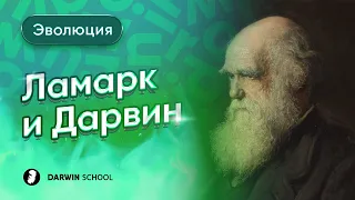 Теория: Ламарк и Дарвин