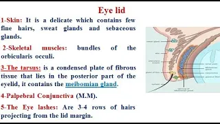 5 eye lid ,conjunctiva, lacrimal apparatus and clinical case