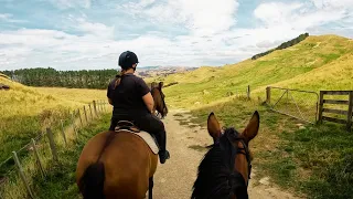 Exploring a Picturesque New Zealand Farm with 9000 Sheep on Horseback