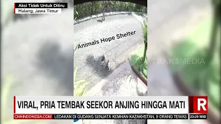 Viral Pria Tembak Seekor Anjing Hingga mati | REDAKSI MALAM (27/08/21)