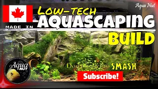 Step by Step Aquascaping Tutorial Guide PT 1| Planted Aquascape Build How to