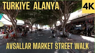 Turkiye Alanya/Cozy center of Avsallar/Market street/[4K]