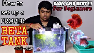 HOW TO SETUP A BETTA TANK || BETTA FISH || BEST BETTA FISH SETUP || ADDING NEW BETTA FISH